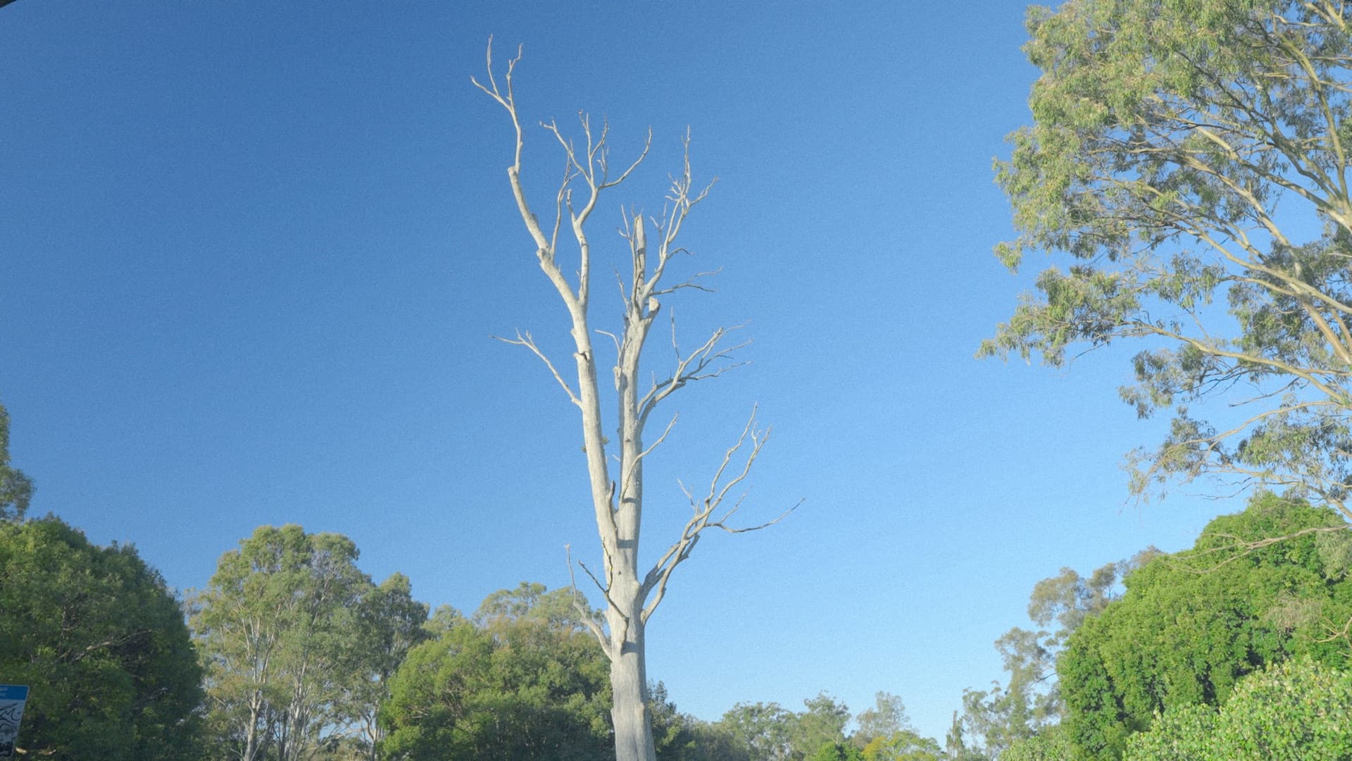 Overtone Festival venue