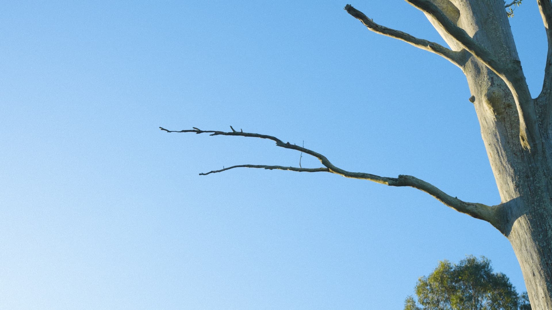 Overtone Festival venue