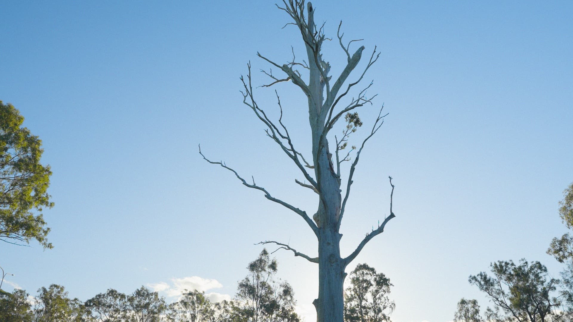 Overtone Festival venue