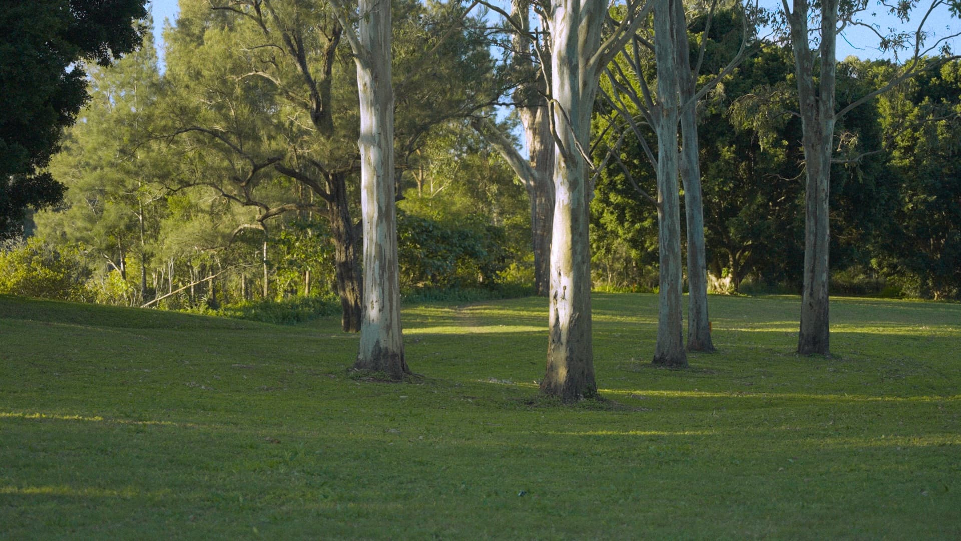 Overtone Festival venue