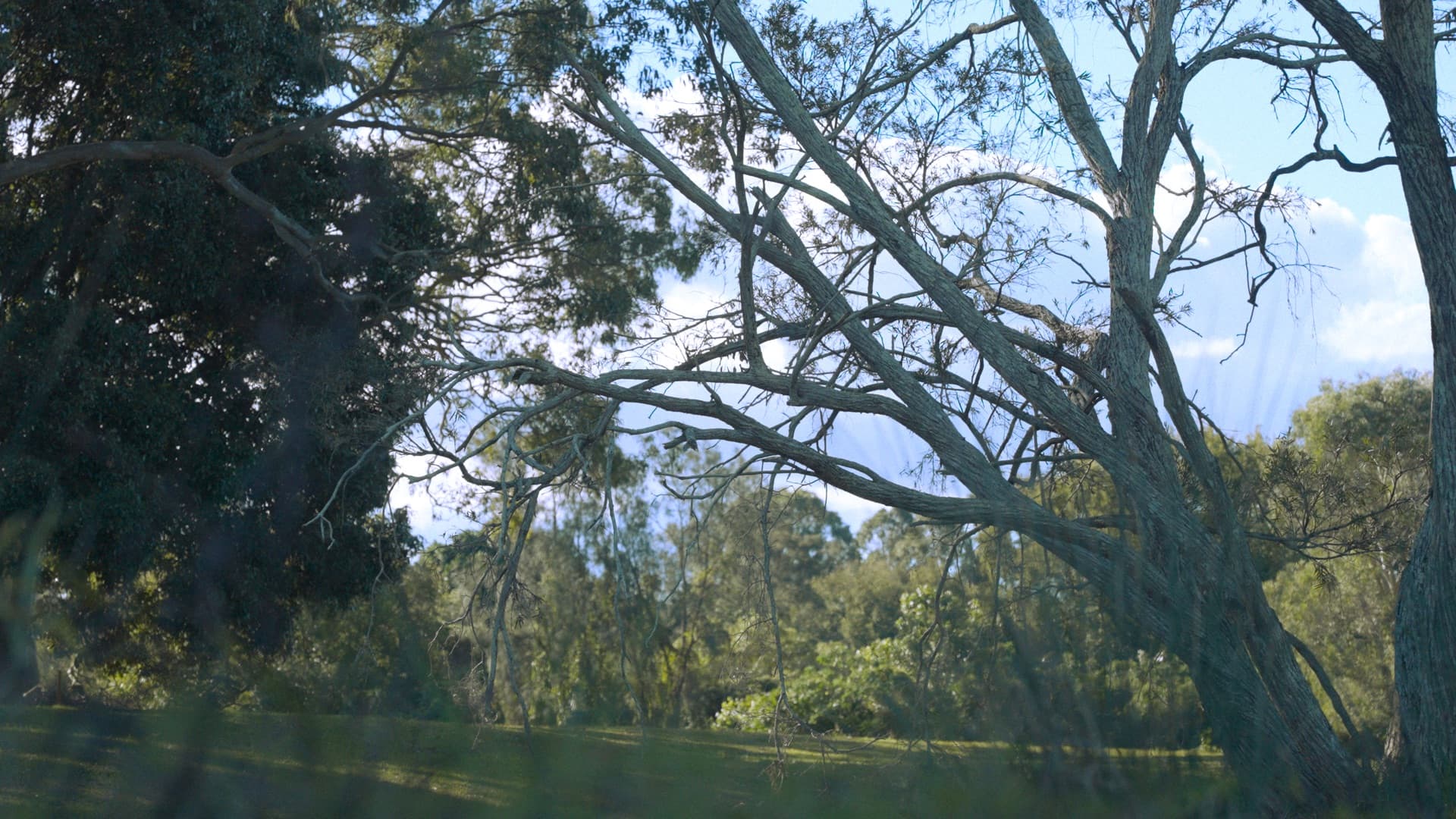 Overtone Festival venue