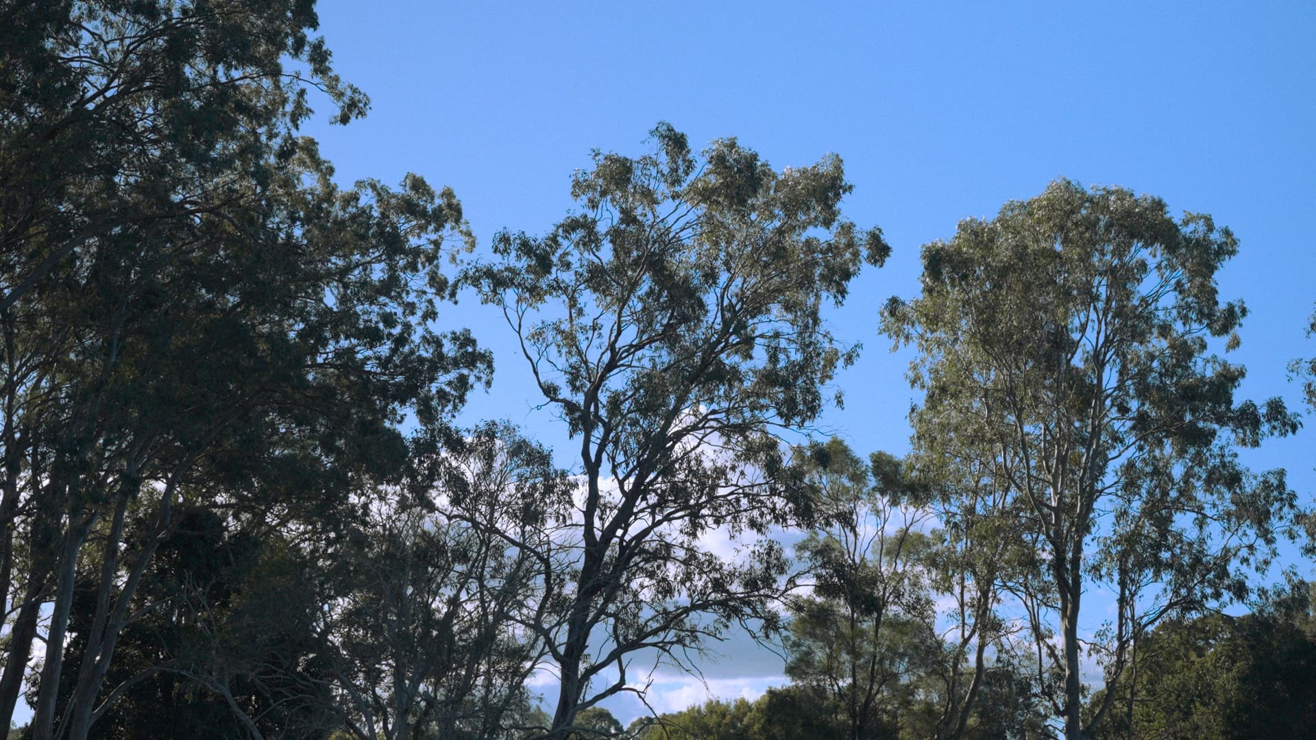 Overtone Festival venue