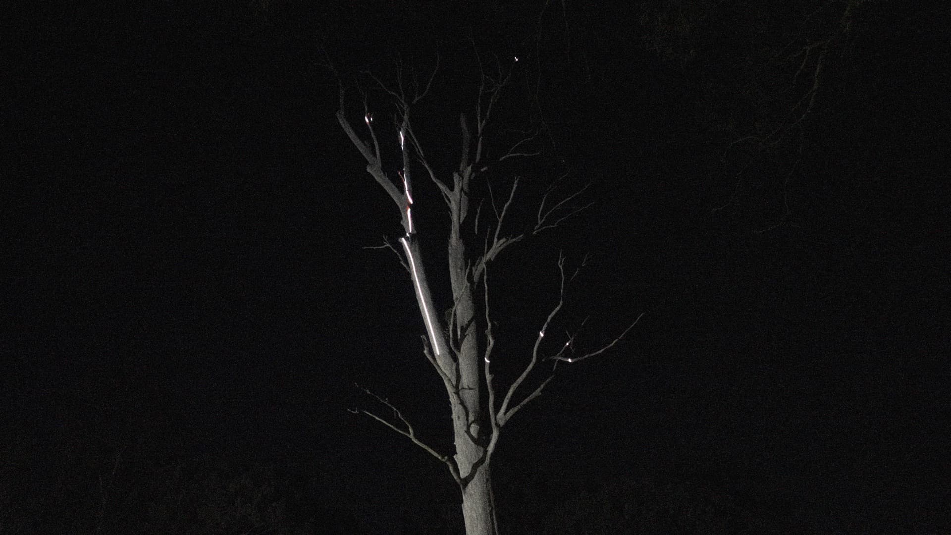 Overtone Festival venue