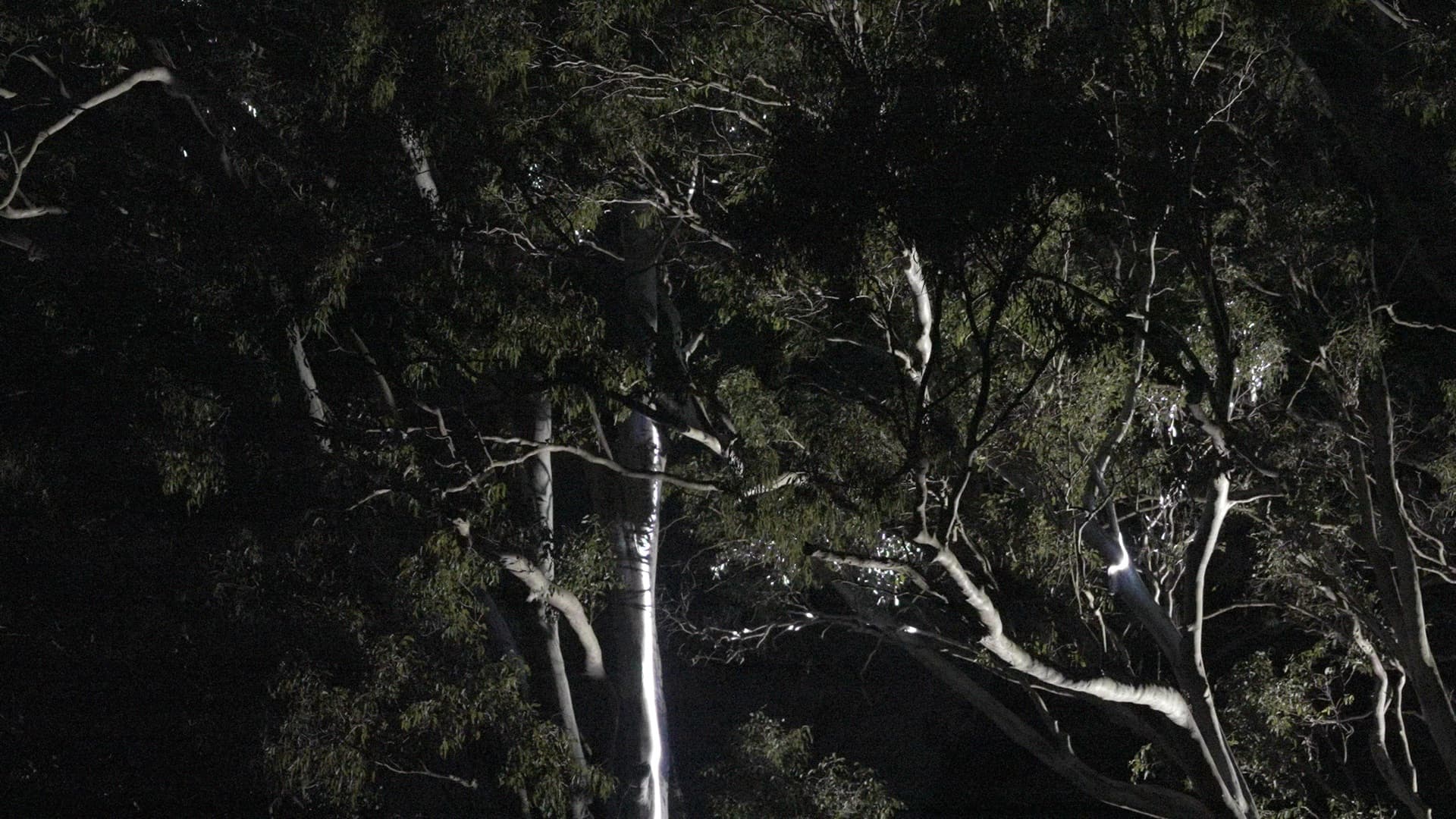 Overtone Festival venue